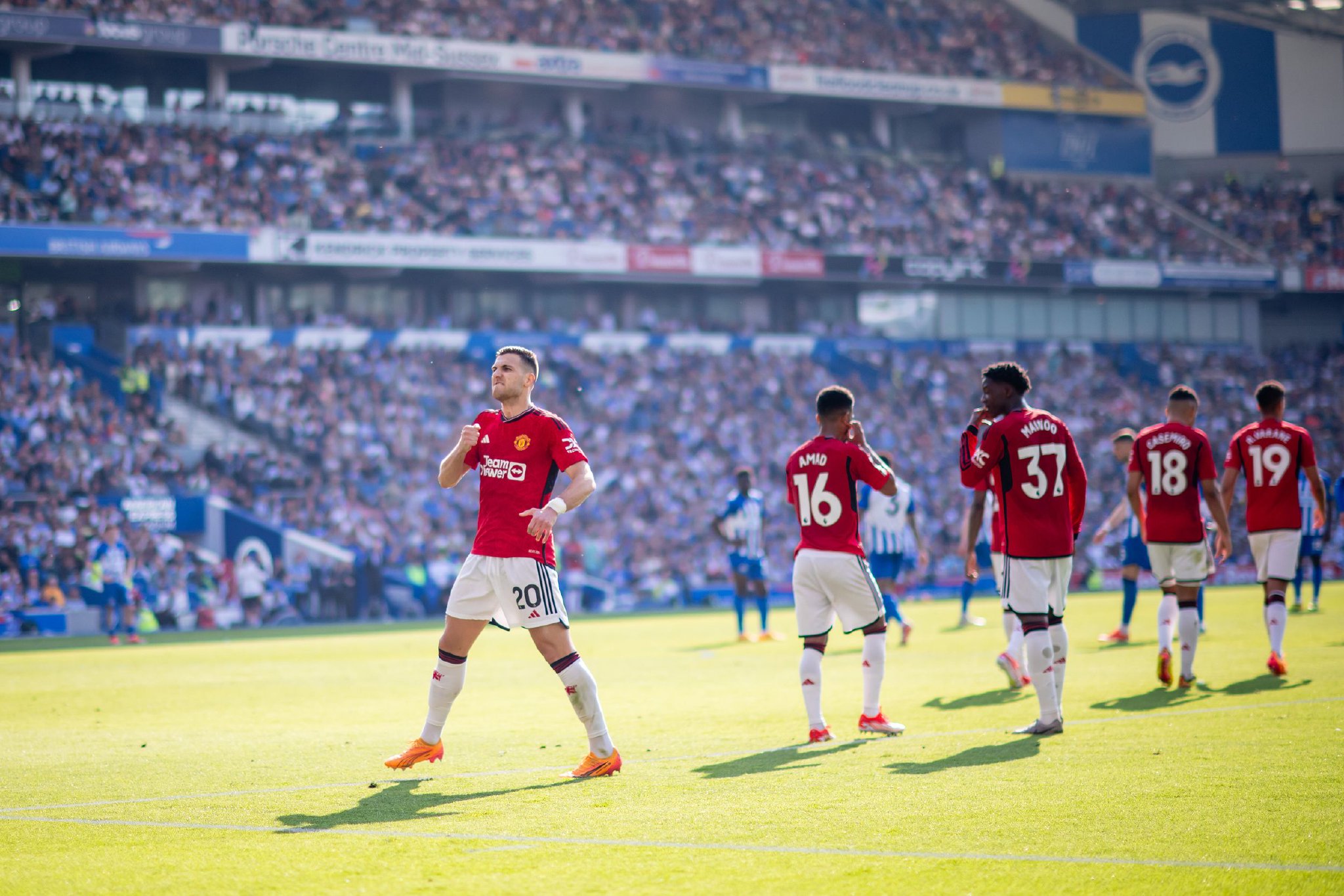 展示了葡萄 展示了葡萄