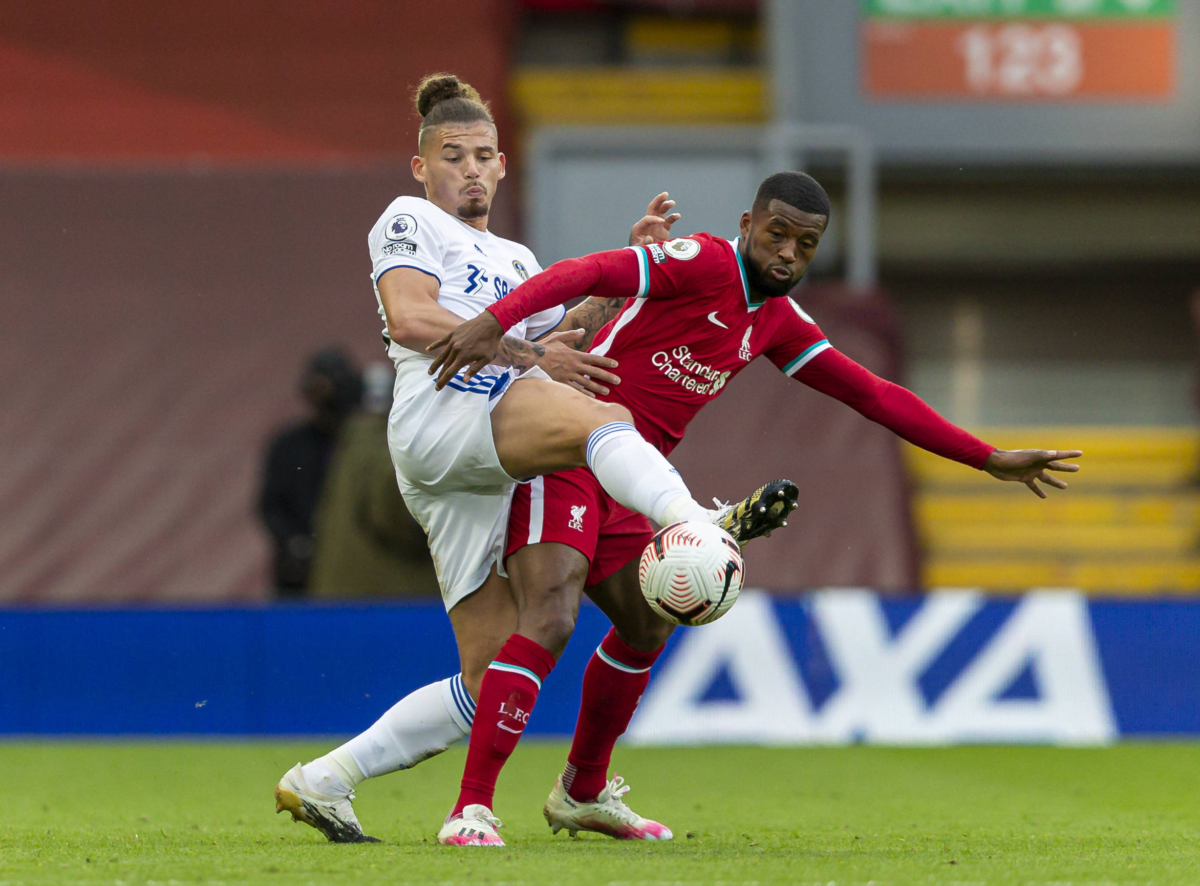 僅為葡萄牙 僅為葡萄牙