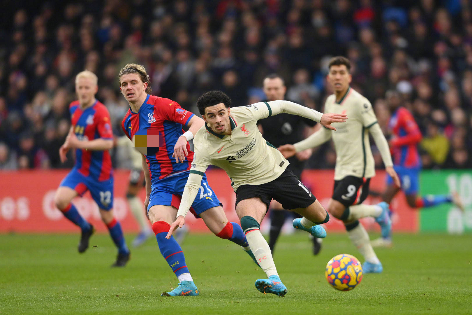 不仅涉及美 不仅涉及美