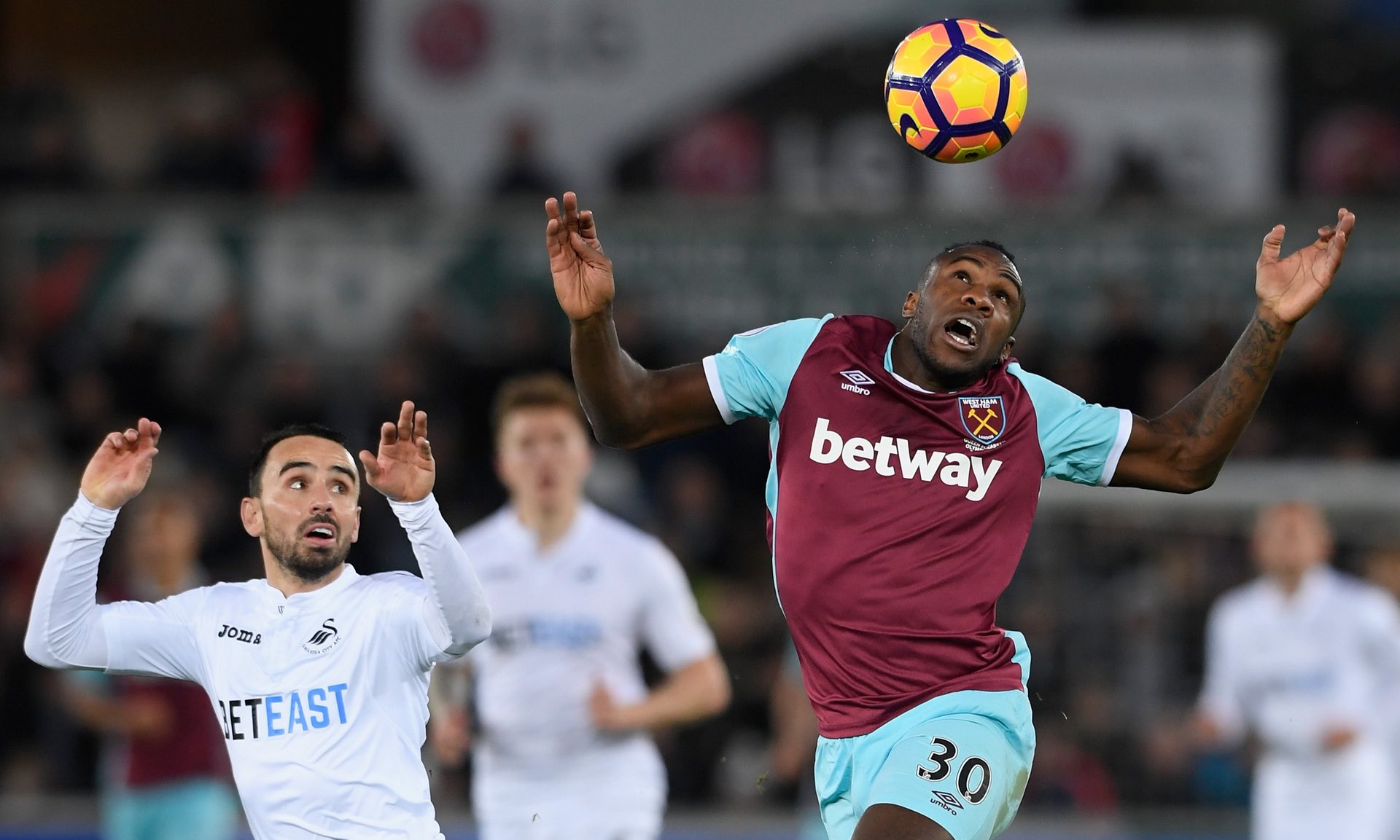 媒体的关注 媒体的关注